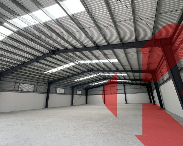 Bodega 1000 m2